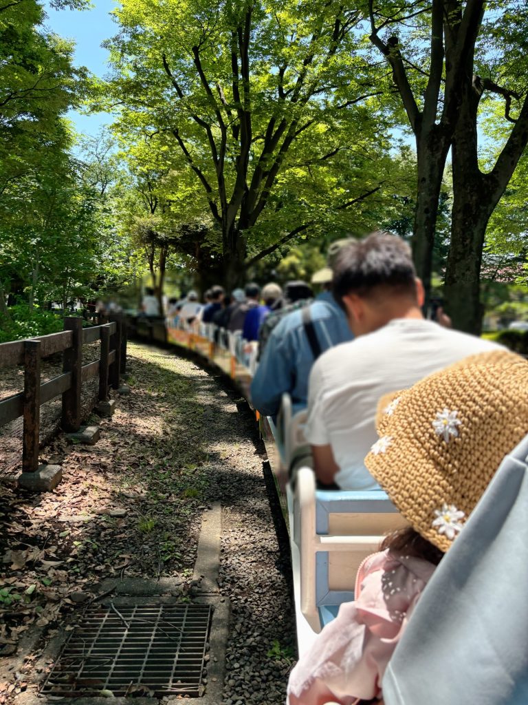 世田谷区立世田谷公園のキンカン三姉妹ミニSL