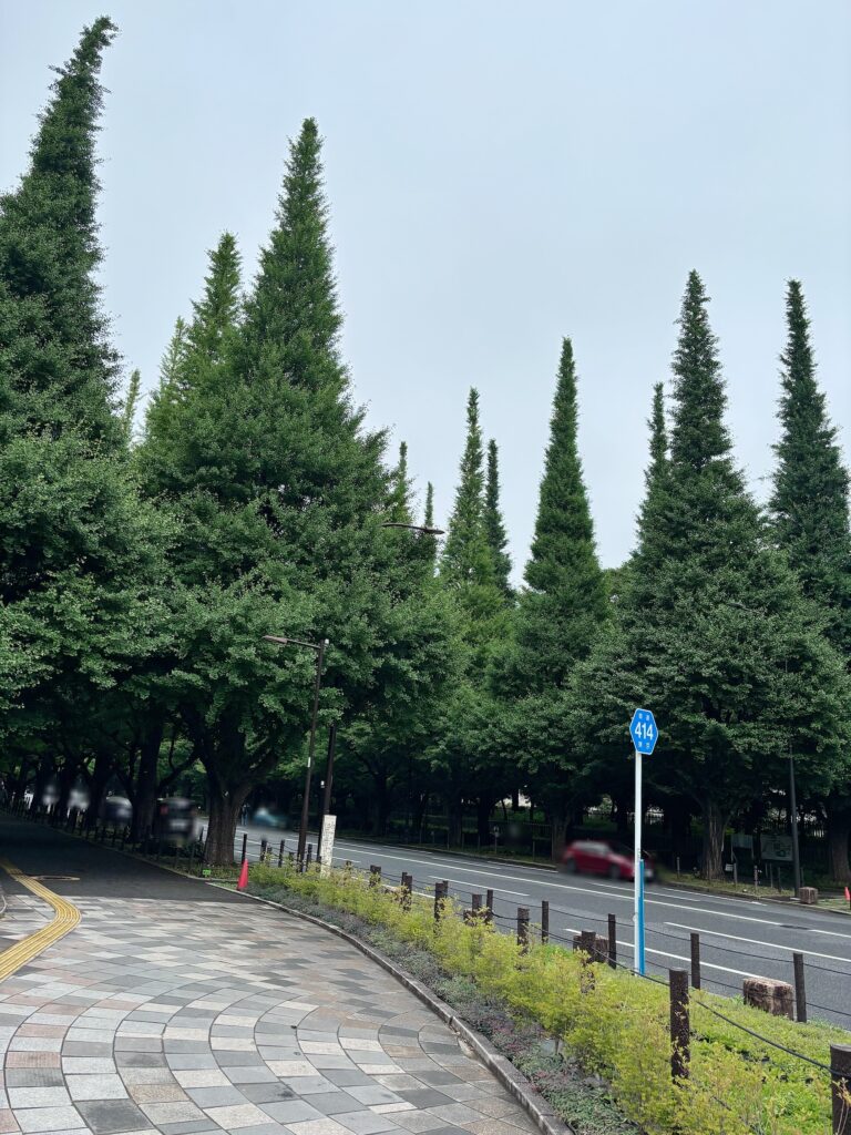 外苑前いちょう並木の写真