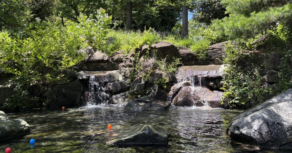 府中郷土の森水遊びの池