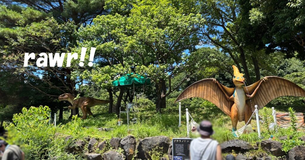 府中郷土の森水遊びの池