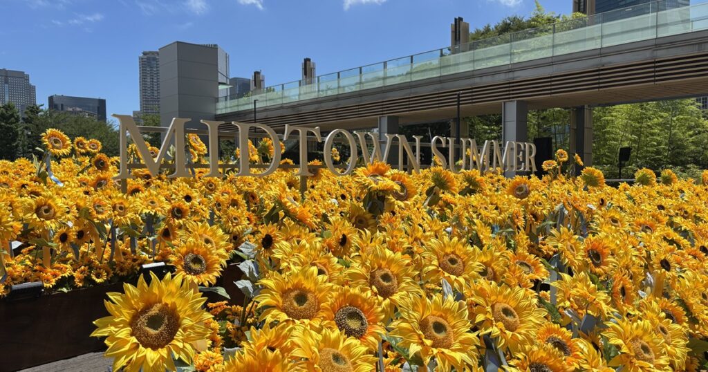 東京ミッドタウンひまわり畑