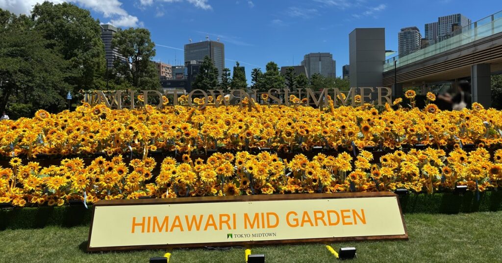 東京ミッドタウンのひまわり畑