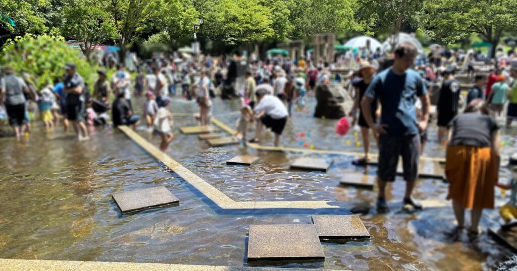 府中郷土の森水遊びの池