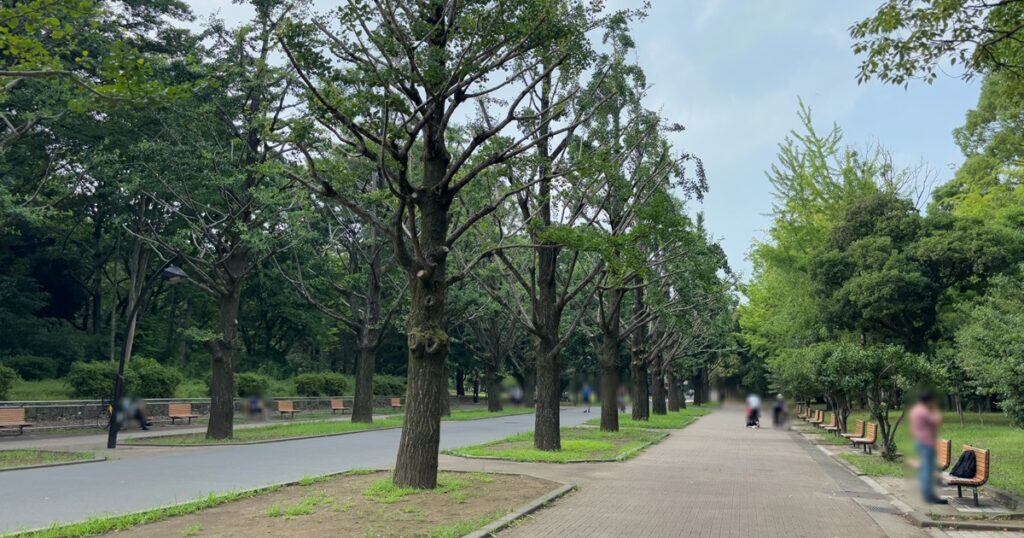 光が丘公園歩道
