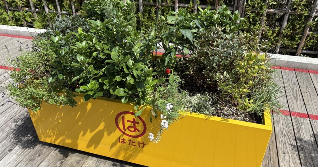 としまキッズパーク