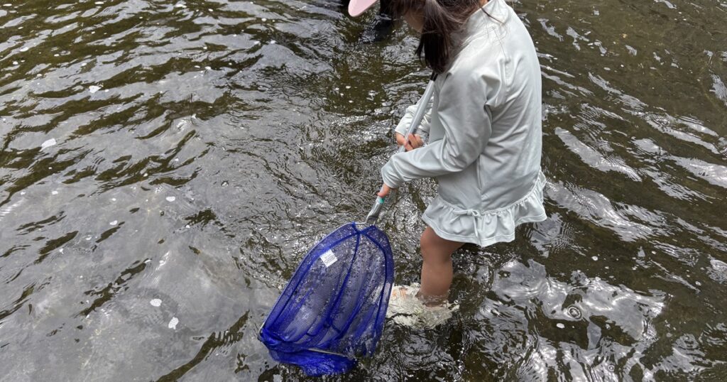 神田川親水テラス