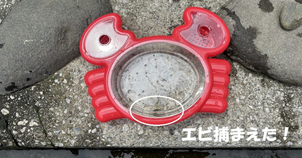 神田川親水テラス