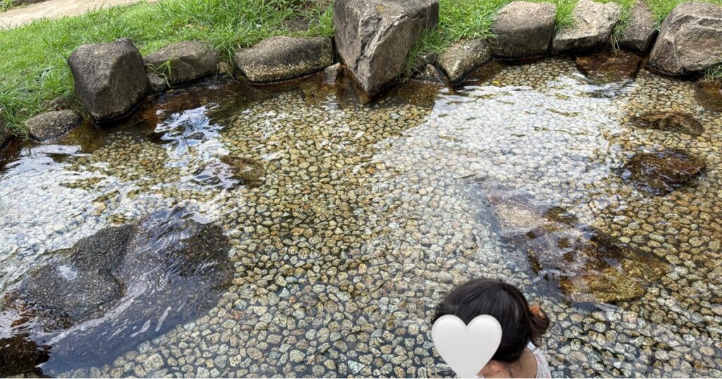 あらかわ遊園水遊び