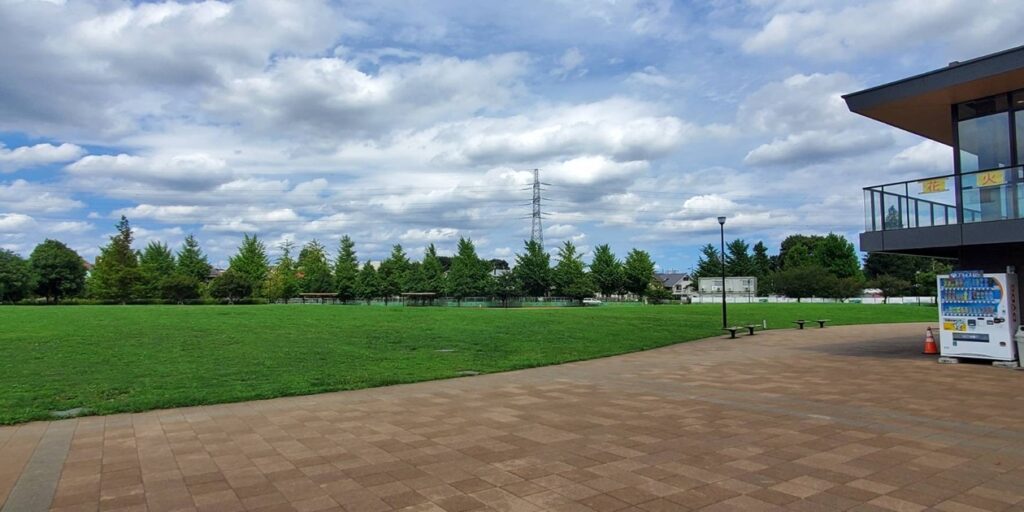 下高井戸あおぞら公園の芝生