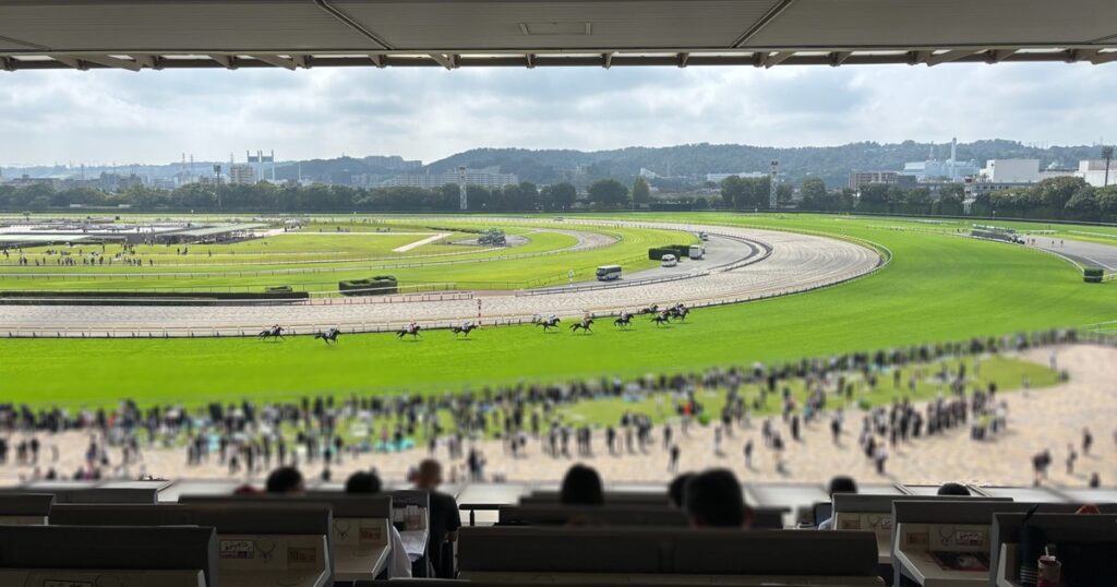 東京競馬場