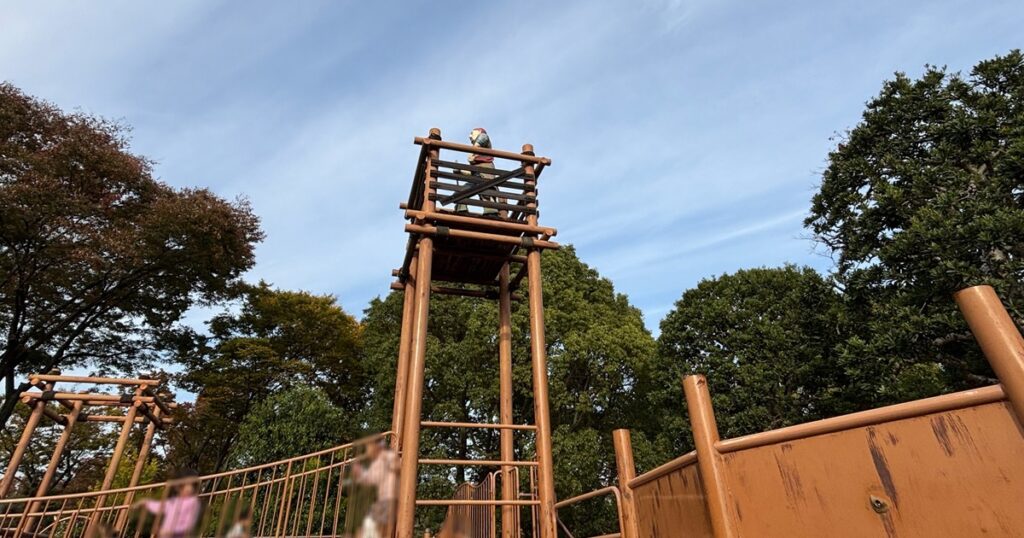 日吉が丘公園複合遊具