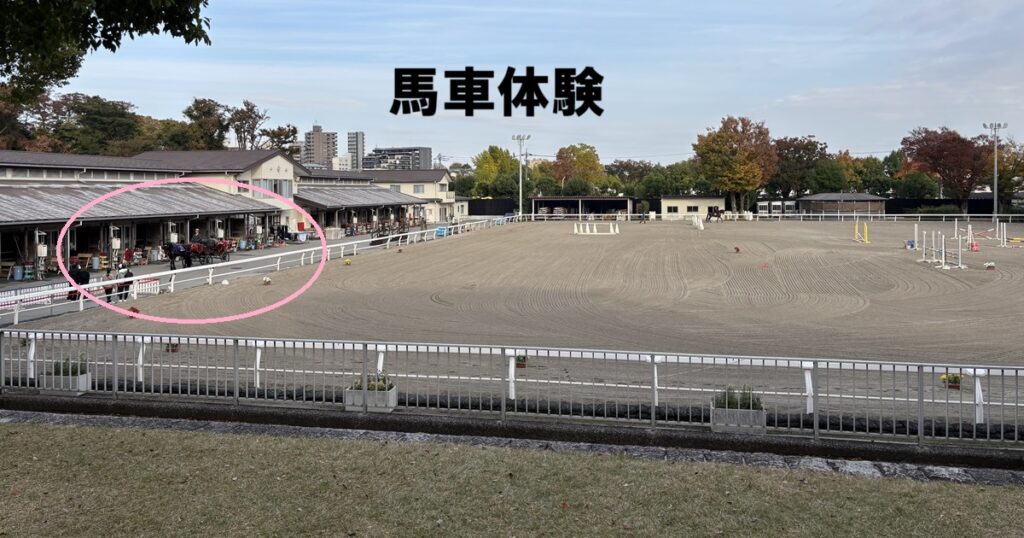 馬車体験