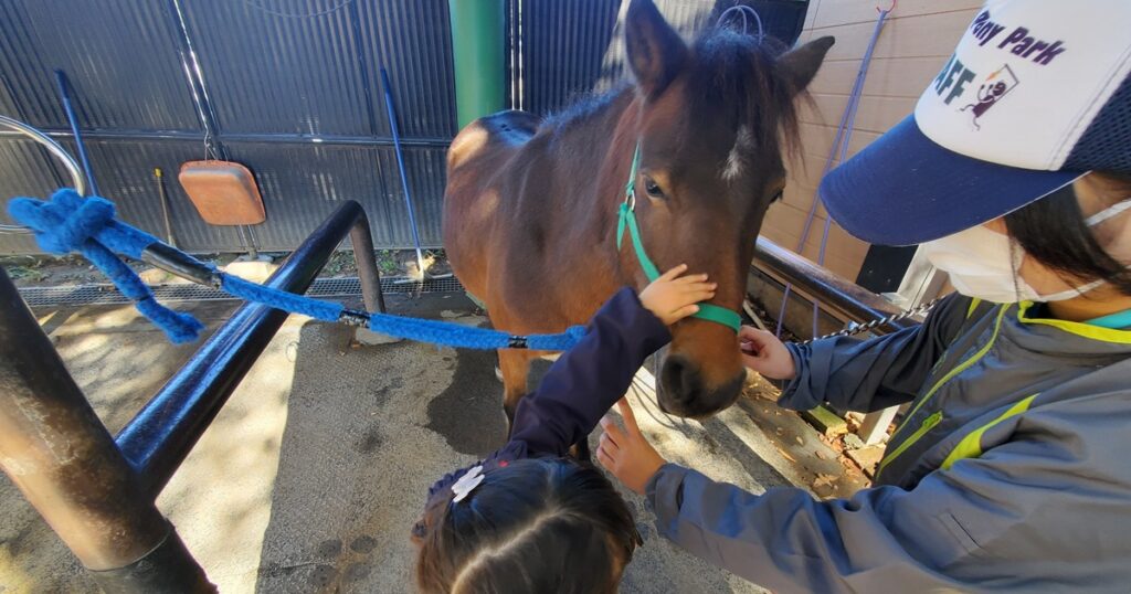 代々木ポニー公園