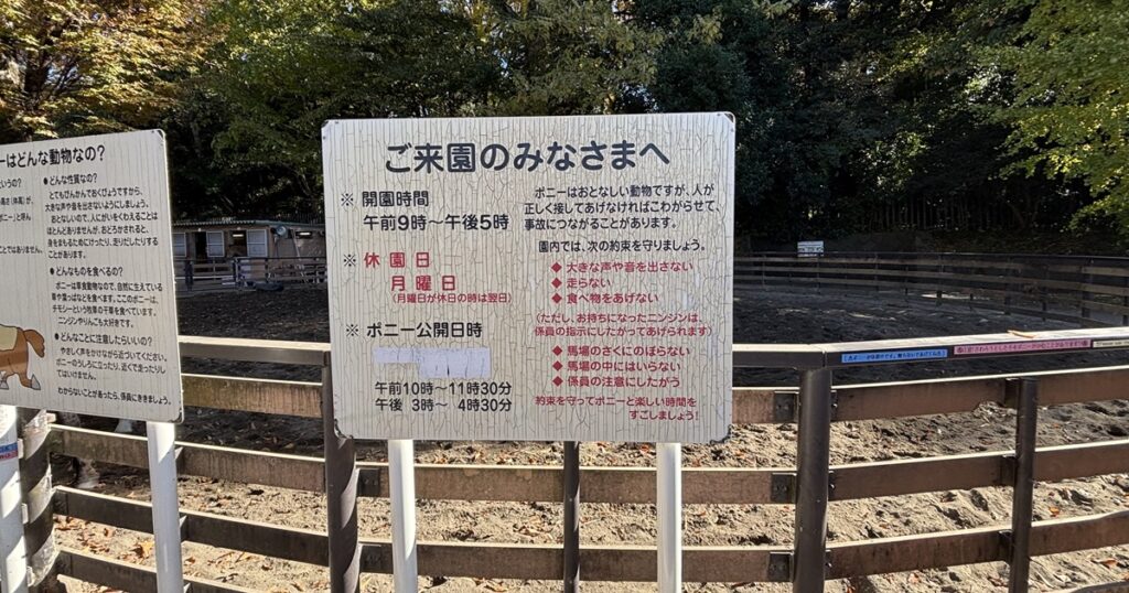 代々木ポニー公園