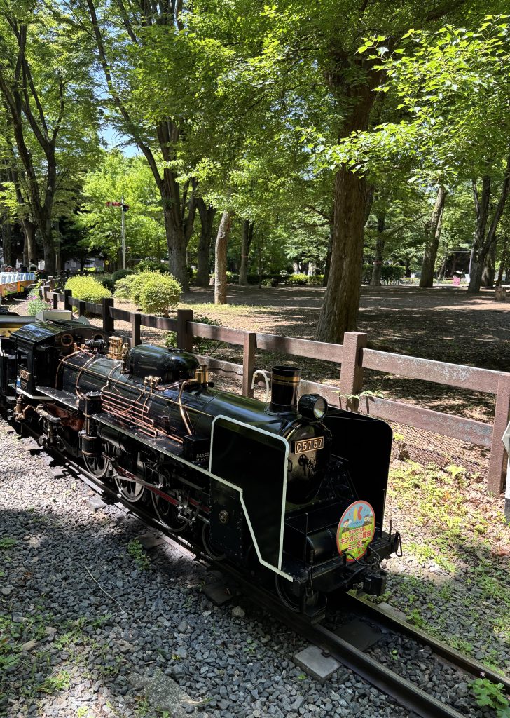 世田谷公園のキンカン三姉妹ミニSL