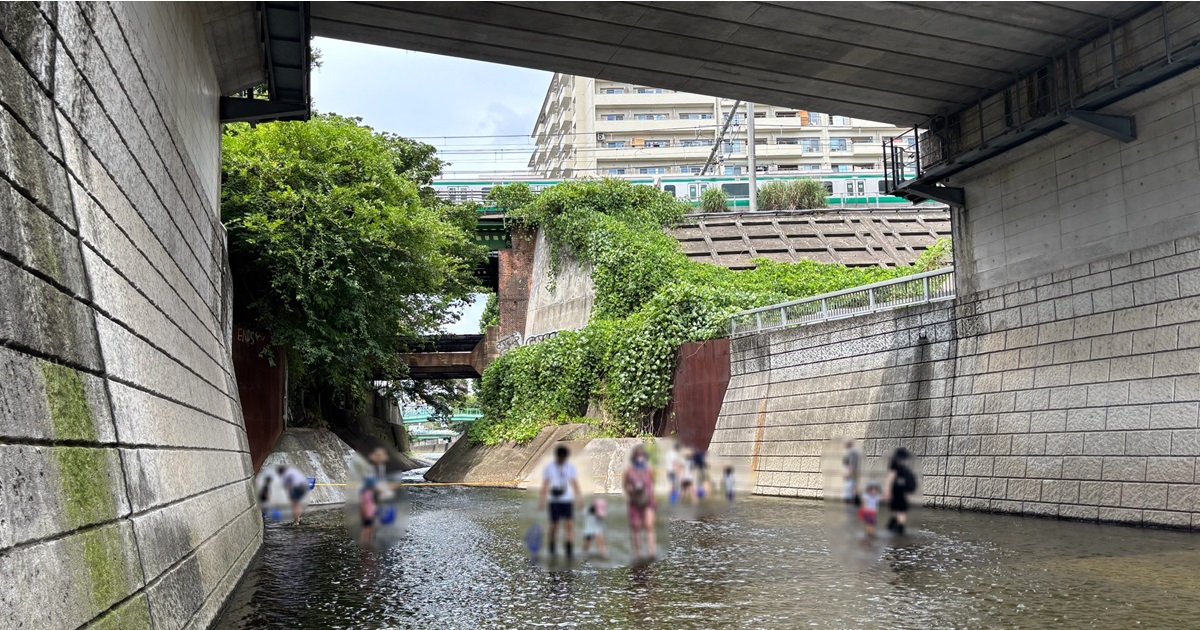 神田川親水テラス全体写真