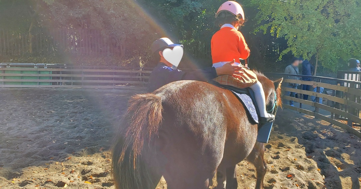 代々木ポニー公園